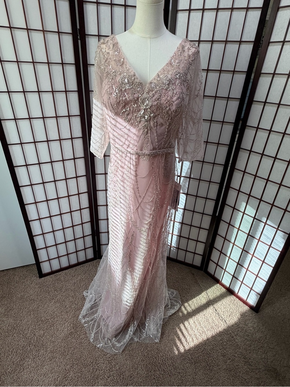 MGNY by Madeline Garner New York Blush Beaded Sequin Gown Style 72933 US size 16